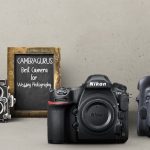 Best Camera For Wedding Photography in 2023 (Top 5 Picks)