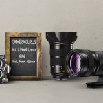 The Best L Mount Lenses and The L-Mount Alliance