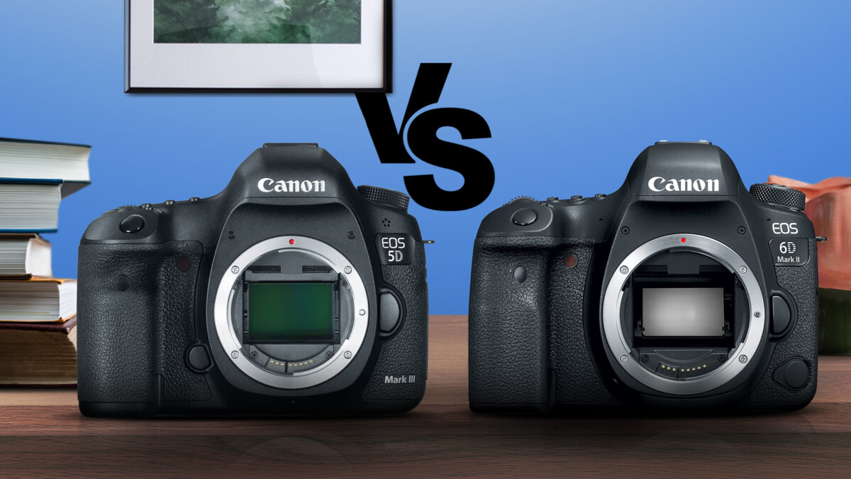 Canon 5D Mark III vs Canon 6D Mark II | CameraGurus