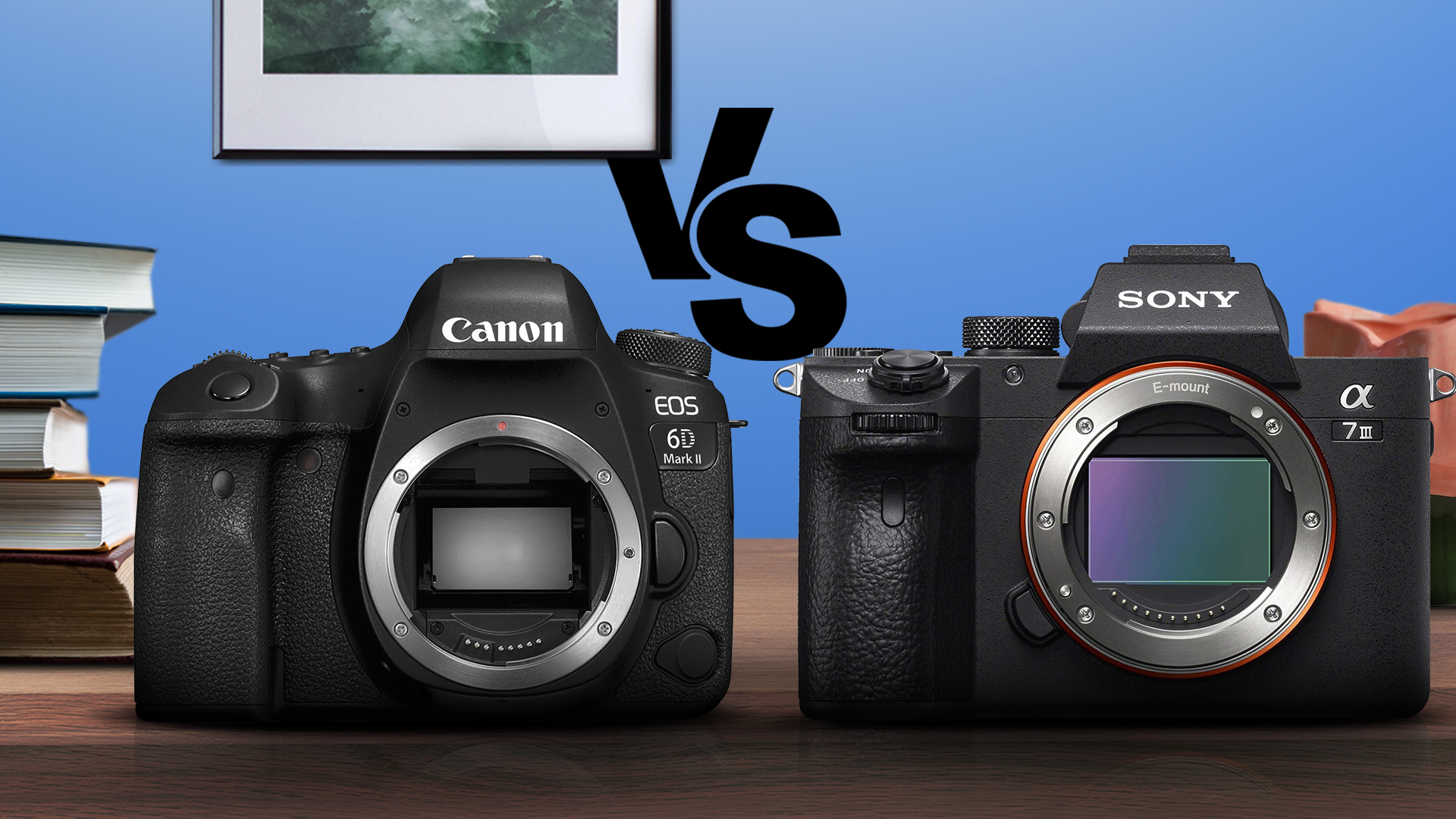 Canon 6D Mark II vs Sony A7 III