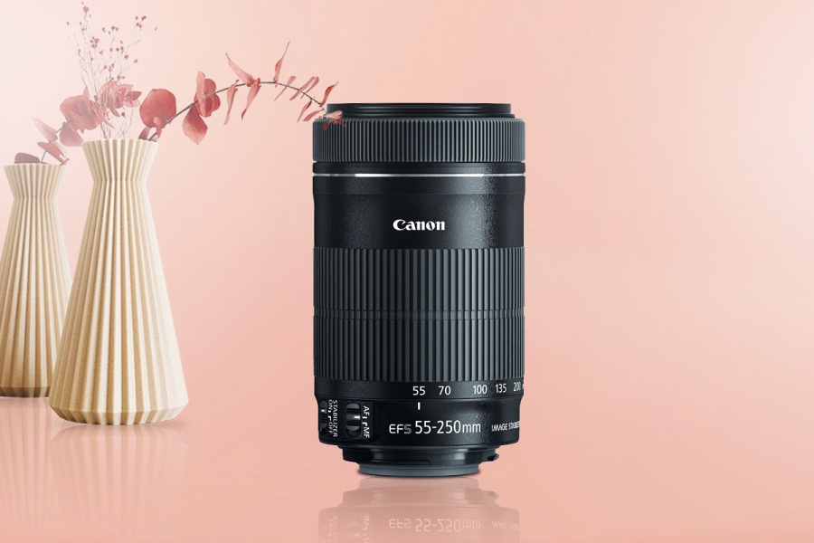 Canon EF S 55 250mm F4 5.6 IS STM