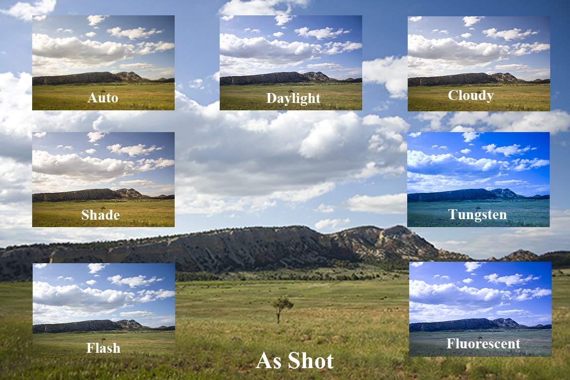 What Is White Balance in Photography? Explained