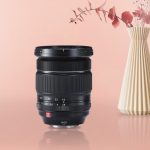 Best Lenses For Pet Photography in 2023 (Top 5 Picks)