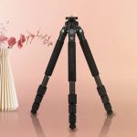 Best Tripods For 600mm Lenses in 2023 - Which One Should You Get?
