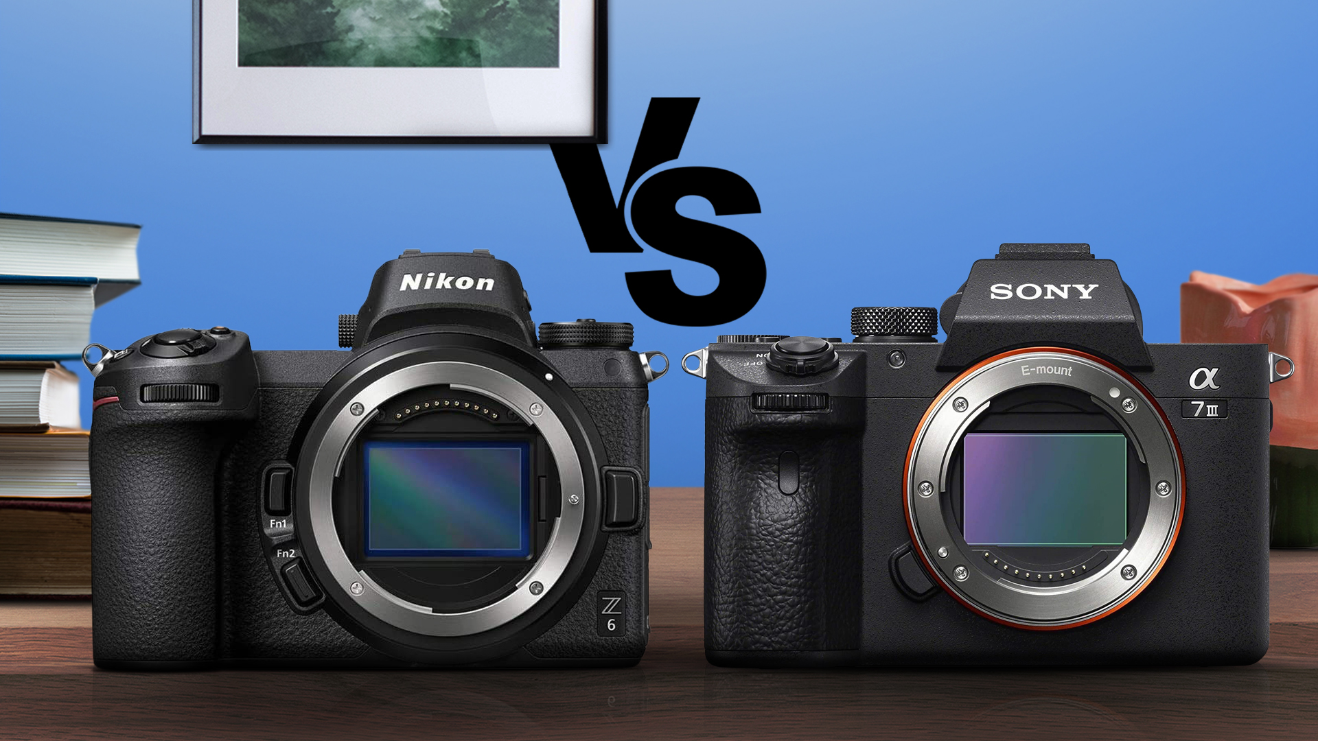 Nikon Z6 vs Sony A7 III Comparison