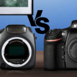 Pentax 645Z vs Nikon D810
