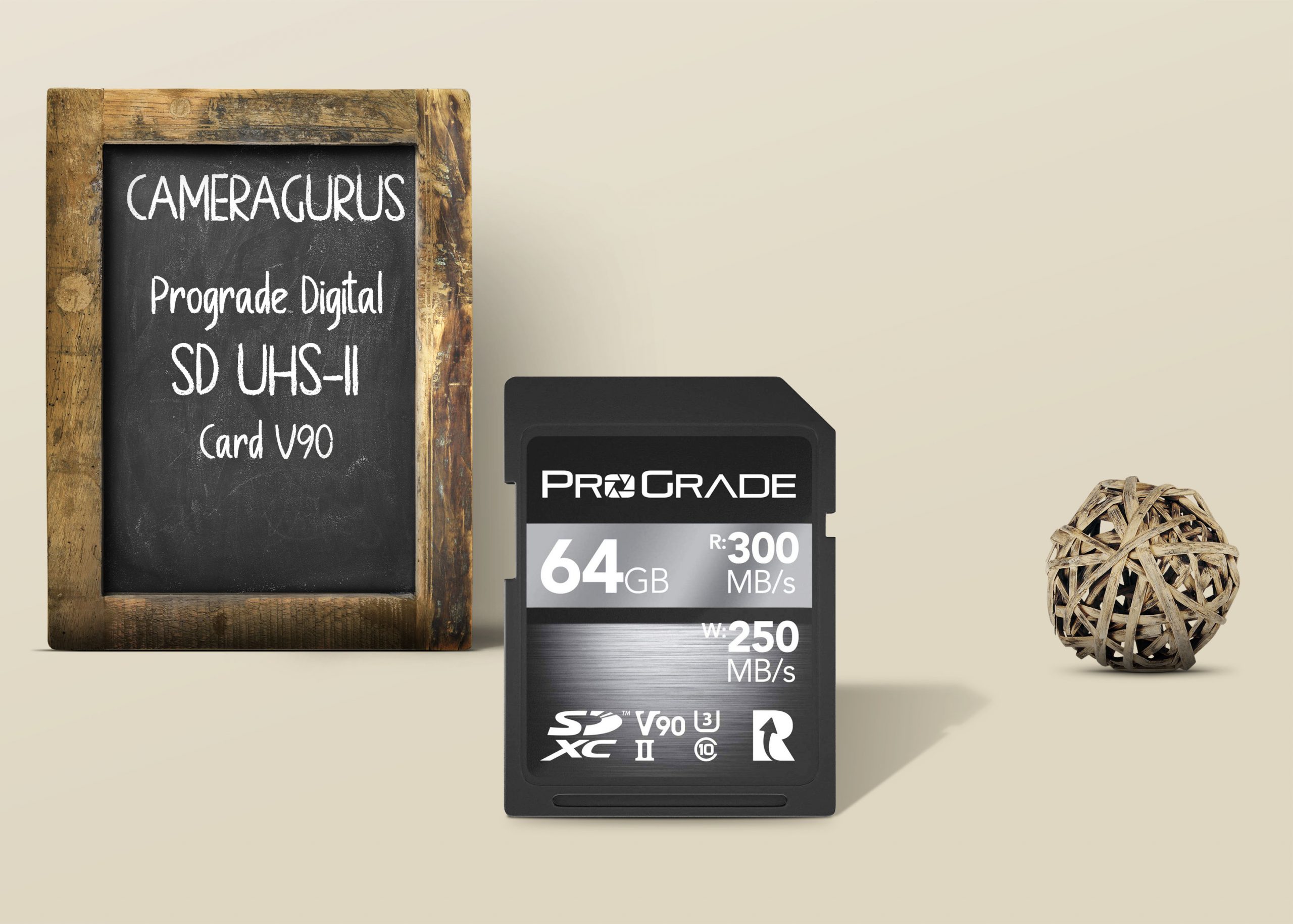 Prograde Digital SD UHS II Card V90