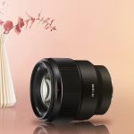 Best Lenses For Sony A6000 (Zoom, Portrait, Wildlife, Macro, Video, Wide-Angle, Travel)