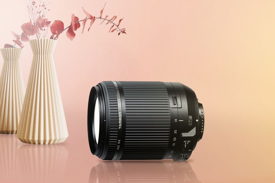 Best Zoom Lenses For Nikon D3500 (Reviewed)