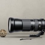 Best 150-600mm Lenses Of 2023 (Buying Guide)