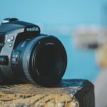 Best DSLR Cameras Under $300 (With Reviews)