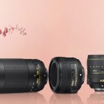 The 10 Best Lenses for Nikon D3500 (Buying Guide)