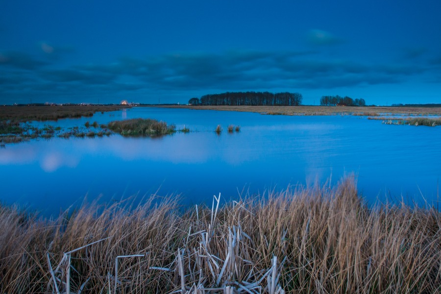 view of lake at blue hour